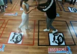 Essence Dance Academy