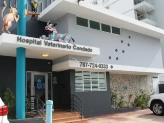 Condado-Veterinary-Hospital-1