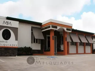 El-meson1